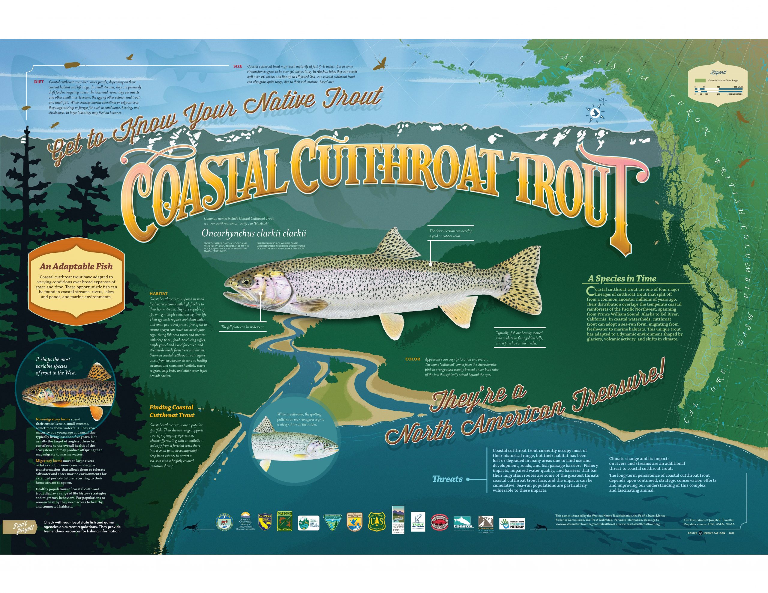 Poster showing a coastal cutthroat trout and facts about it.